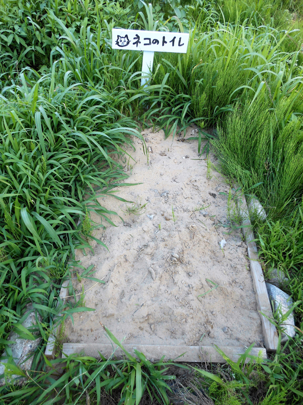 カフェの横に設けられた猫用トイレ