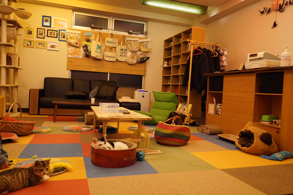 前号でご紹介したアニマルコミュニケーター・前田理子 さんのミニセッションやヨガなどイベントも随時開催