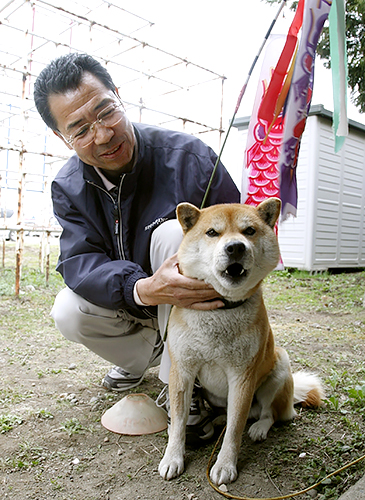2011年5月2日付の朝日新聞朝刊(一部地域を除く)に掲載された文太と吉田健一さんの写真