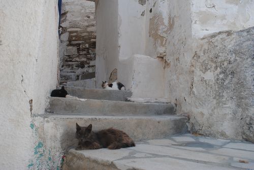 ホラの端。人が住んでいない一角は壁も塗り直されず、シャビ―な雰囲気。(シロス島)