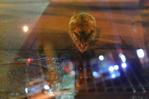 ©Takumi Ito