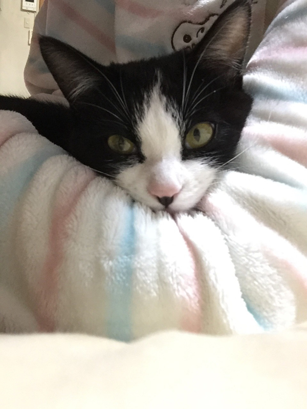 真有さんに抱かれる甘えん坊のうなぎ