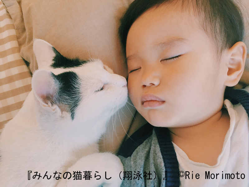 兄弟のように育つ猫のザクロと1歳のタイくん=杜本理絵さん撮影(翔泳社提供)