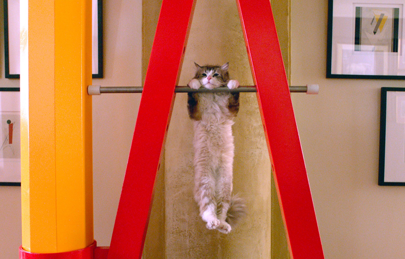 (C)2016 - EUROPACORP - All rights reserved