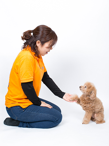 オテ&オカワリ ②前足が手のひらに乗ったら「オテ」(撮影 布川航太)