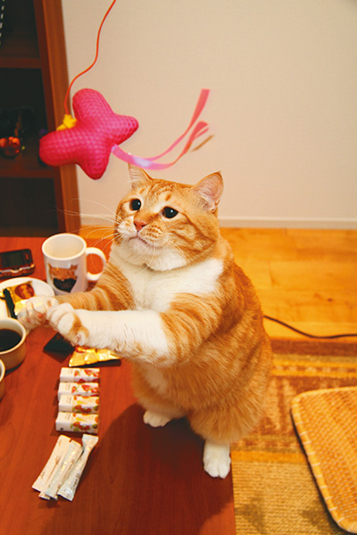 スカッ! あれー?