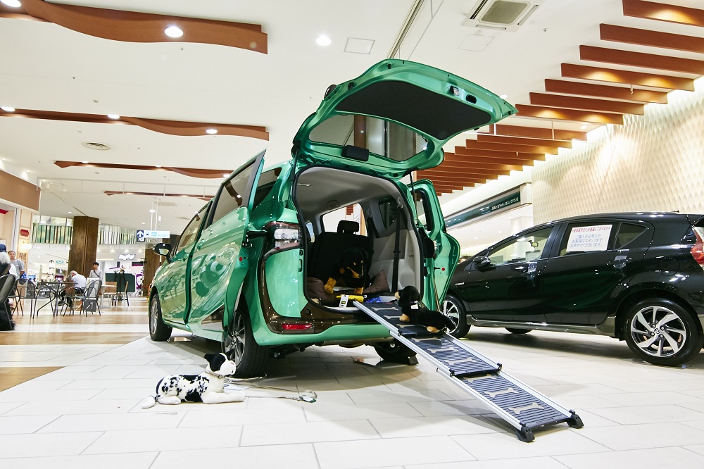 いろいろなドッグ用品の使い方がわかりやすかった。