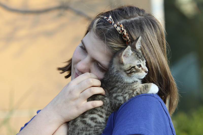 子猫にほおずりするアン(c)大塚敦子