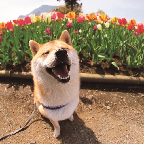 写真=後藤隆之介