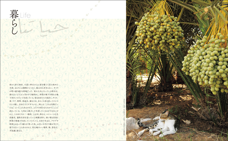 「Life in the Desert 砂漠に棲む」(玄光社)より