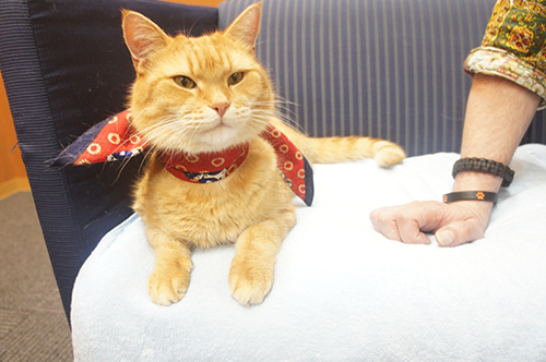 もっと欲しい…