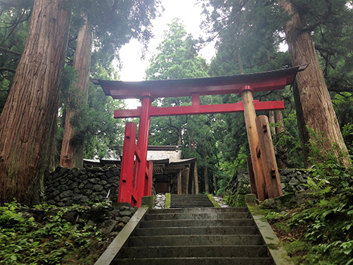 赤い鳥居をくぐると猫の像が見えてくる