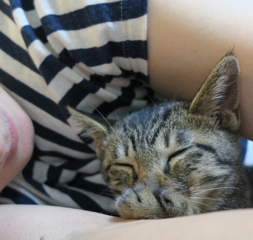 夏、涼みながら(生後4か月の頃)