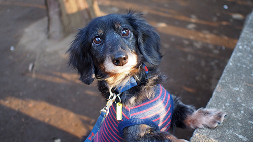 早く遊びに行こうよ