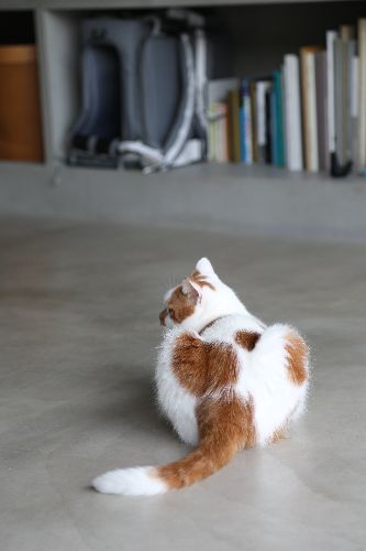 後姿も堪能してね