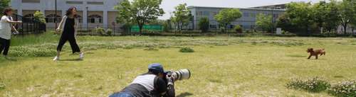 走る飼い主(左)を追いかけるわんちゃんを狙う=神戸市