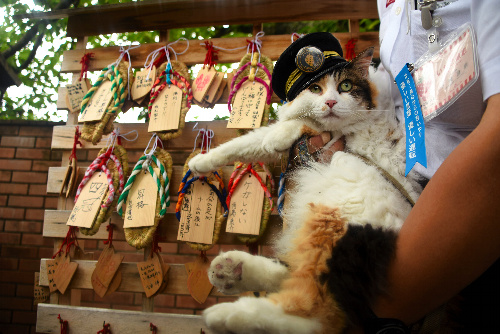 貴志川線を地域の人と守っていくことを祈願したニタマ=2016年6月22日、和歌山県紀の川市貴志川町