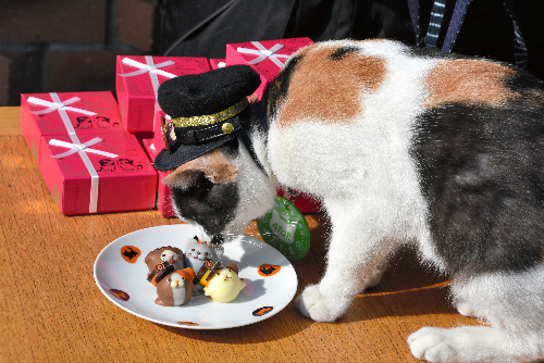 チョコレートの香りを嗅ぐ駅長見習いの「よんたま」