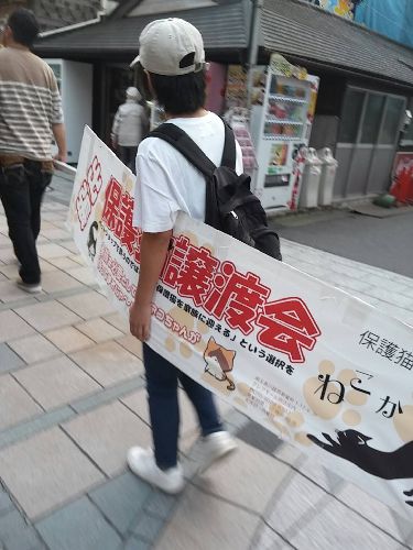 この道が、いつか舞台会場へと続きますように