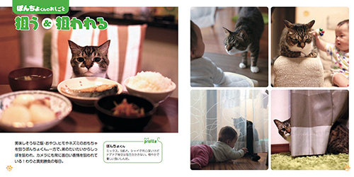 『ねこのおしごと』より