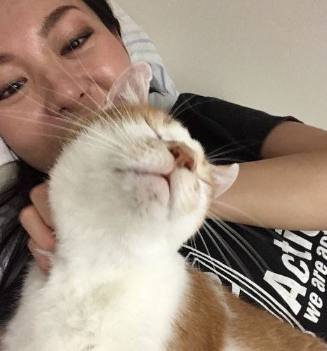 撫でてもらって気持ちよさそうなトロ