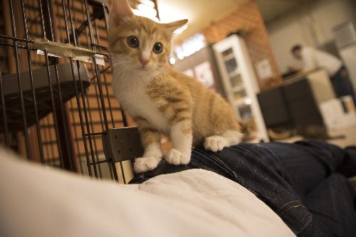 五十嵐健太 撮影