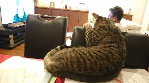 家族のそばにいるのが好き。奥はパパ