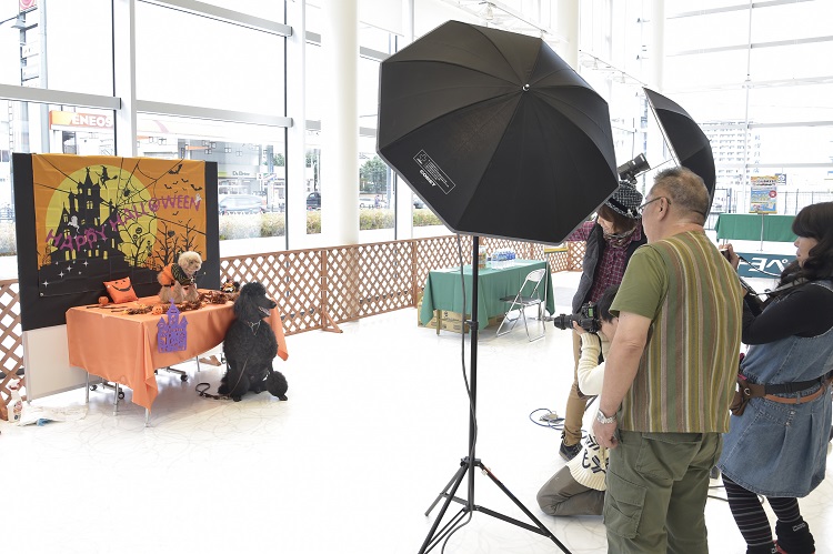 プロカメラマンによるハロウィン撮影会も。