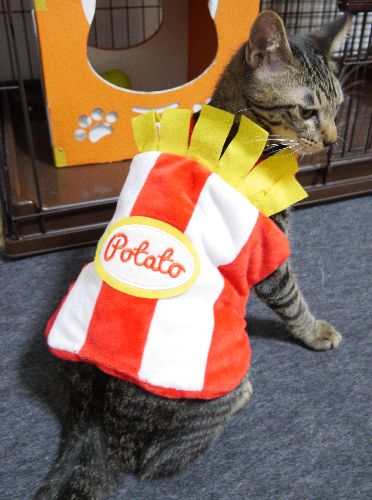 フライドポテトの仮装