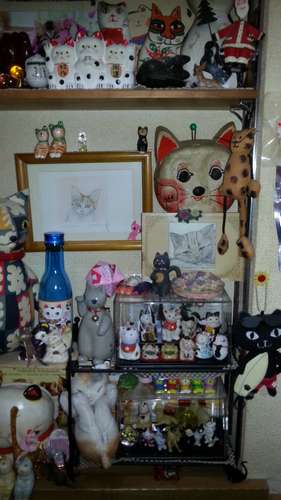 店内には猫グッズもたくさん=てまり