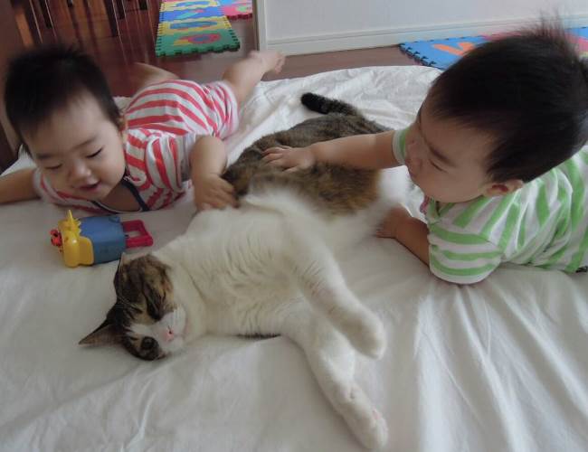 2人でシマちゃんをナデナデ