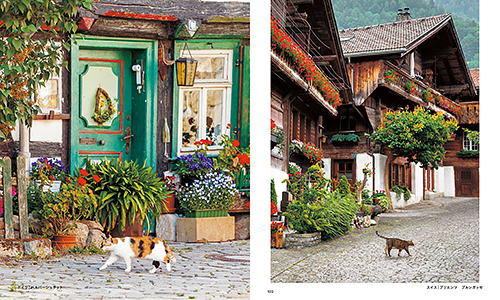 「世界の街猫」から