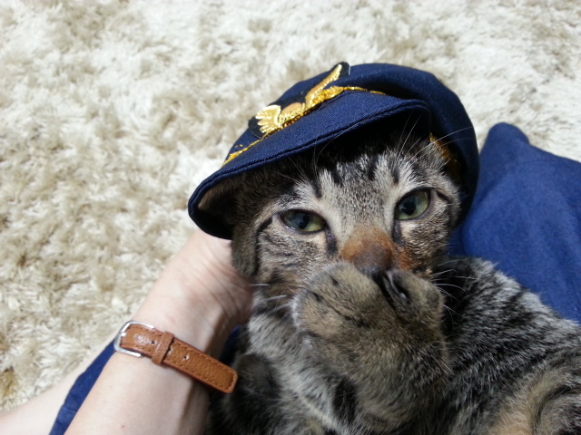 よろしくチュパー