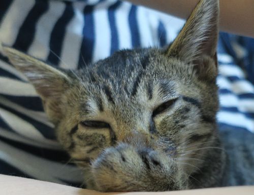 抱っこすると、指を吸う