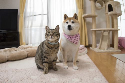 五十嵐健太 撮影