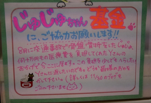 呼びかけにより「じゅじゅ」にはたくさんの寄付が集まりました