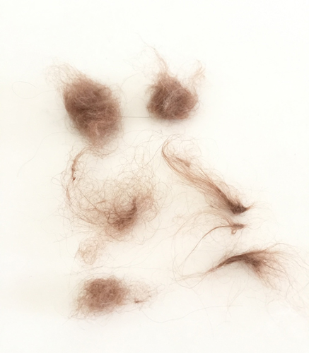 大小あれこれ豊作! なんだか捨てられない(笑)。