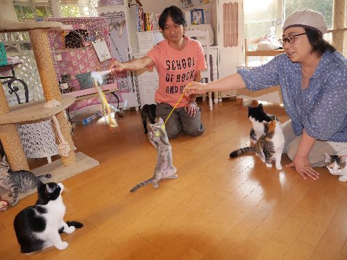 家族とこうして遊ぶのも至福の時