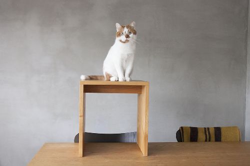 写真=井上佐由紀