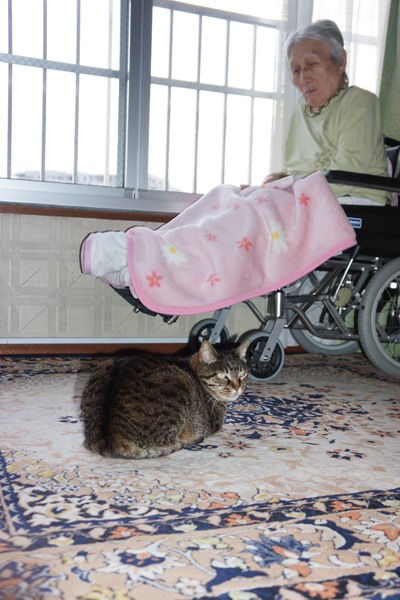 「ニャンちゃんどうした?」お母さんが声をかける