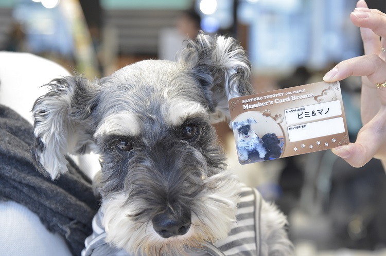 DOG会員証はわんちゃんの写真入り