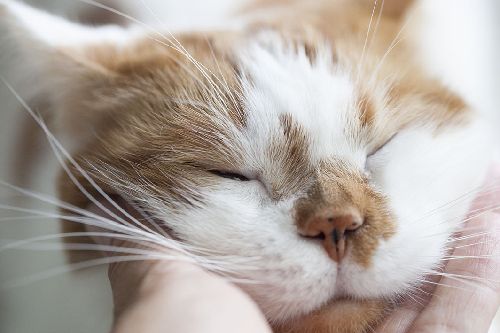 写真=井上佐由紀