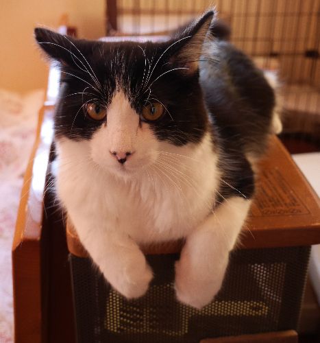 今はこんなに立派「僕をよろしく」BYけんたろう