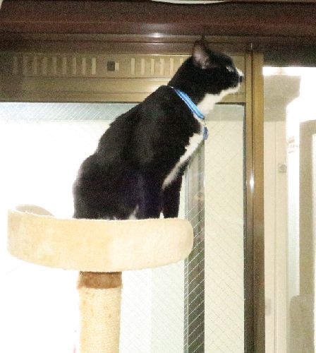 時々高いところに乗って表もチェック