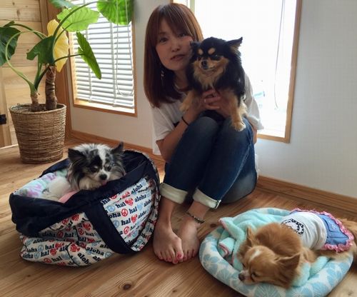 昨年、愛犬とともに房総へ