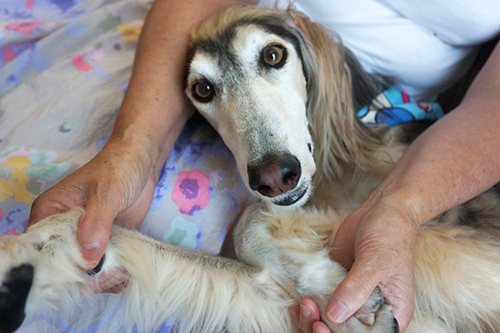 されるがままになっちゃって