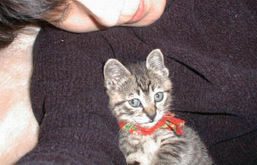 (保護して)しばらく検査入院をして戻ってきた