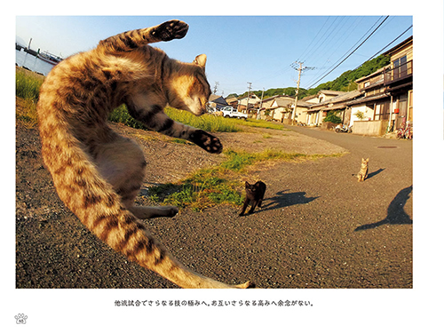 「のら猫拳キッズ」から(撮影:久方広之)