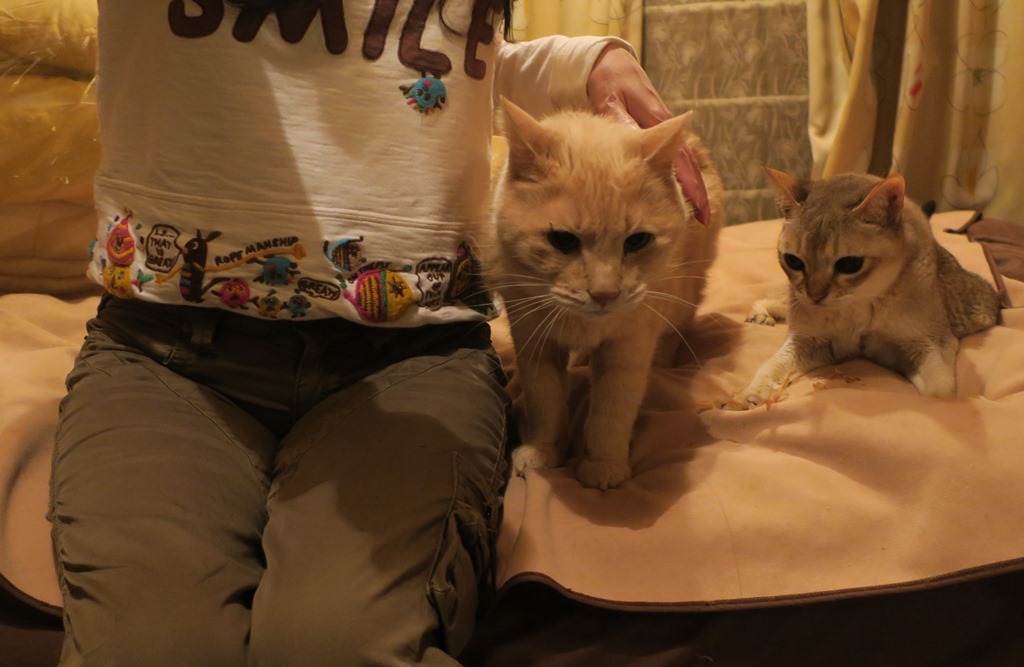 ほぼ同世代のピナとルンルン。体の大きさが倍くらい違う(強いのはピナ)