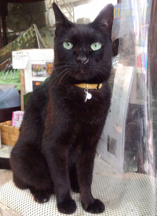 店できりっとポーズを決めるヒロシ